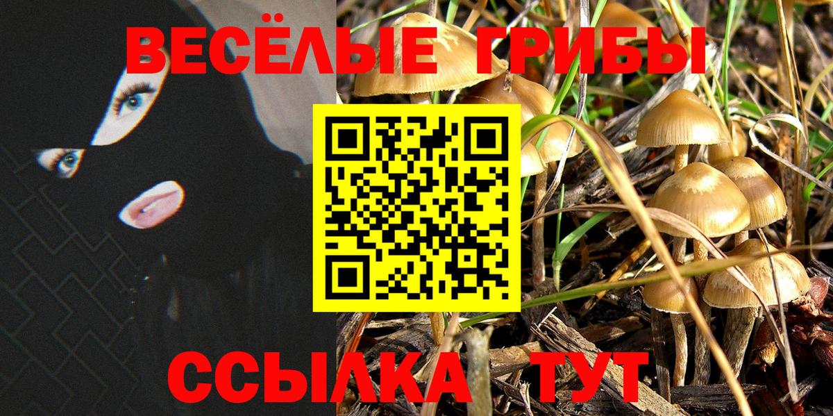 Галлюциногенные грибы Magic Shrooms Лобня