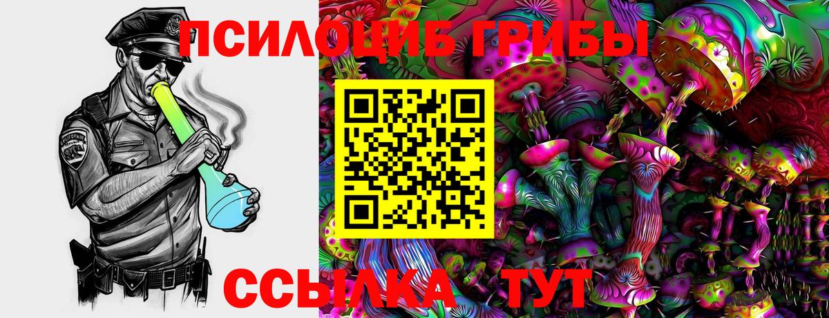 Лобня  где купить наркоту  Вход с VPN  Псилоцибиновые грибы Cubensis 
